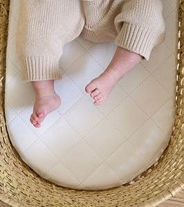 Clair De Lune Quilted Microfibre Palm Moses Basket Mattress | Bed Sava
