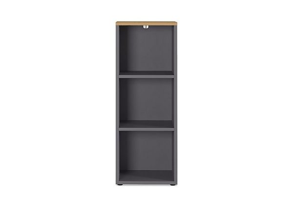 Agenda 3 Shelf Narrow Bookcase | Bed Sava