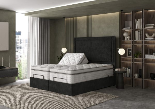 Tech Latex Motion Plushtop Adjustable Divan Set | Bed Sava
