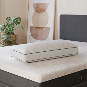 Emma Microfiber Pillow Pillow | Bed Sava