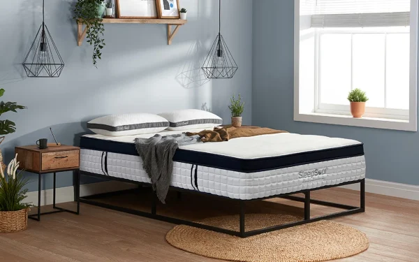 SleepSoul Celest 3000 Pocket Pillow Top Mattress Double | Bed Sava
