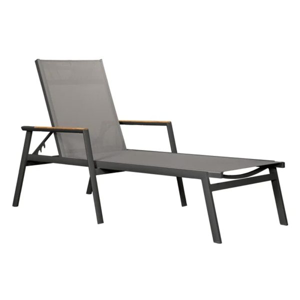 Almont Polyester Garden Sun Lounger In Charcoal And Carbon | Bed Sava