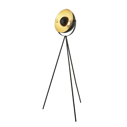Blink 1 Light Tripod Floor Lamp In Matt Black And Gold | Bed Sava