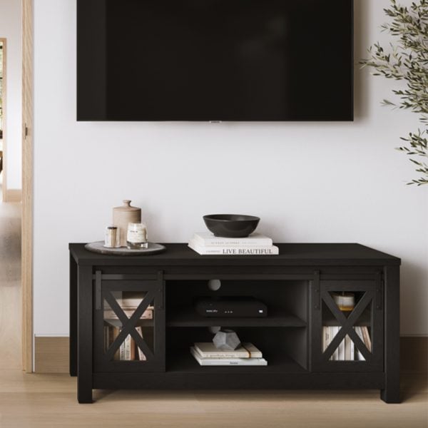 Clive Wooden TV Stand With 2 Doors In Black | Bed Sava