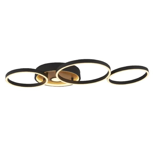 Curio Flush Ceiling Light With Black Metal Frame | Bed Sava
