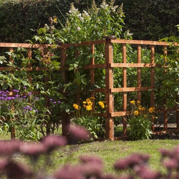 Hizo Wooden Garden Dip Treated Trellis In Honey Brown 6×5 | Bed Sava