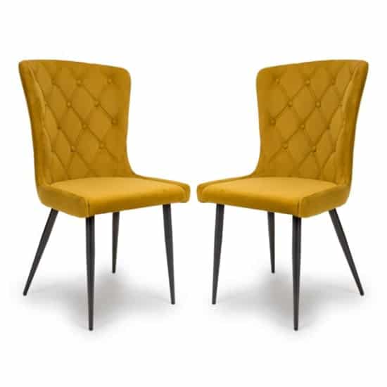 Merill Mustard Velvet Dining Chairs With Metal Legs In Pair
