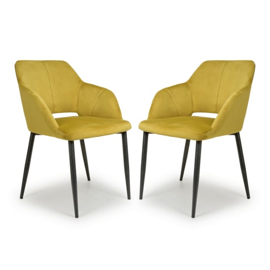 Narva Lime Gold Velvet Dining Chairs With Black Legs In Pair