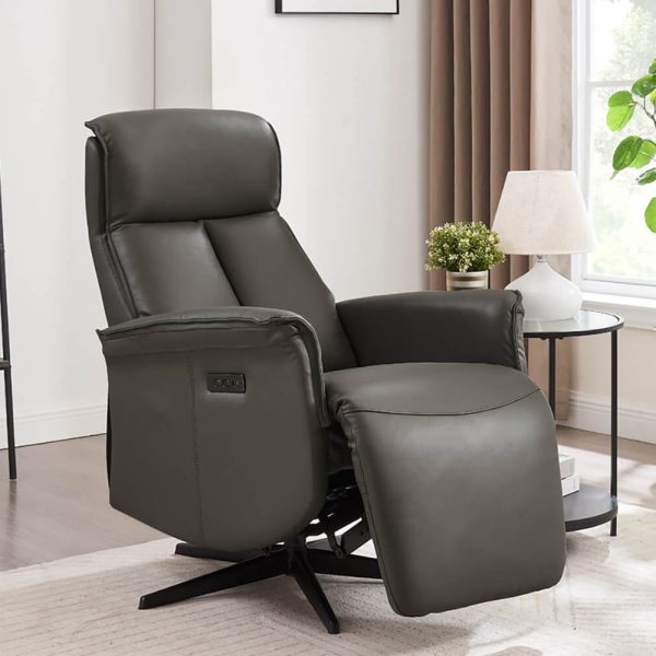 Roanoke Leather Electric Reclining Chair In Ash | Bed Sava