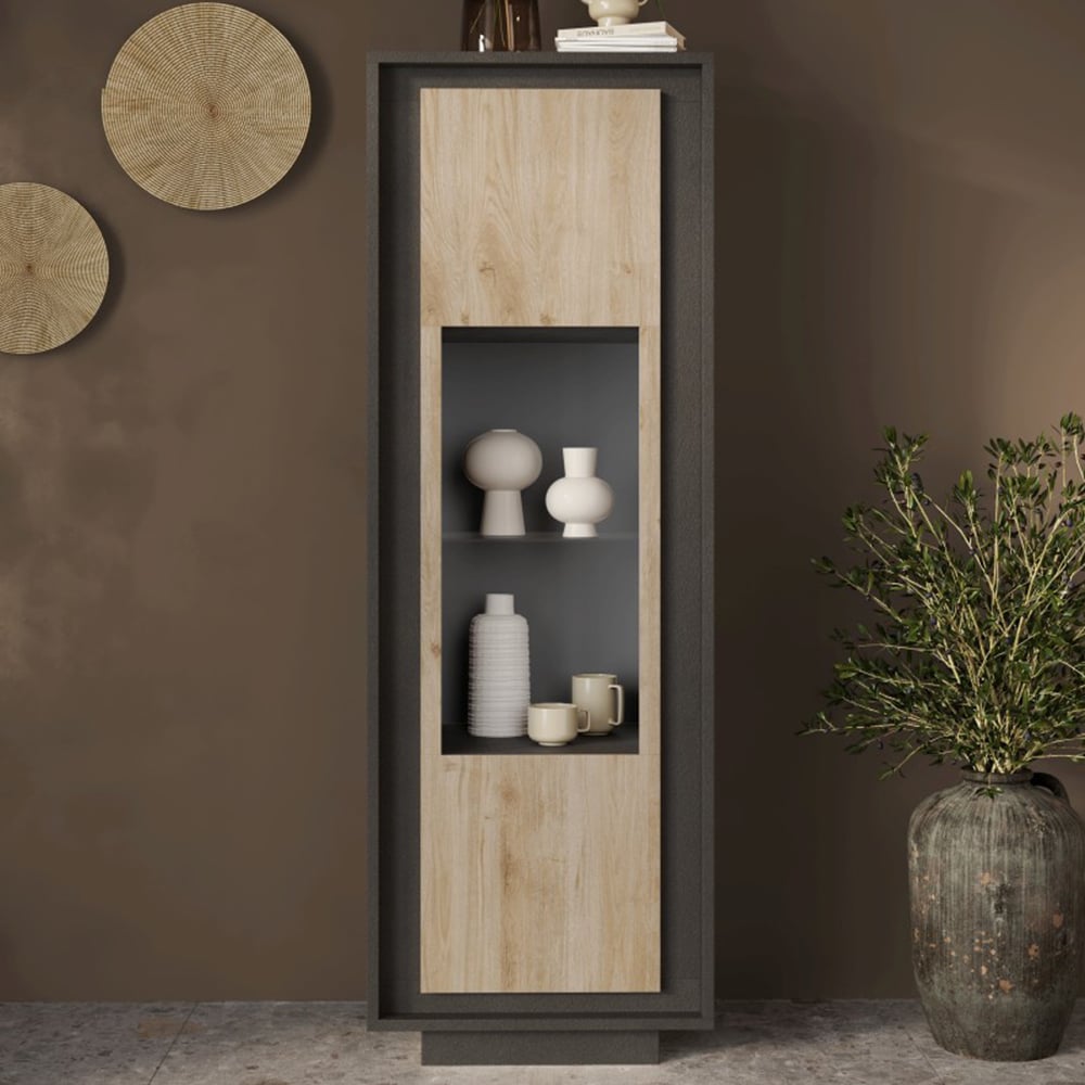 Skokie Wooden Display Cabinet With 1 Door In Lava And Cadiz