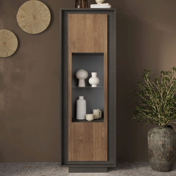 Skokie Wooden Display Cabinet With 1 Door In Lava And Mercure | Bed Sava
