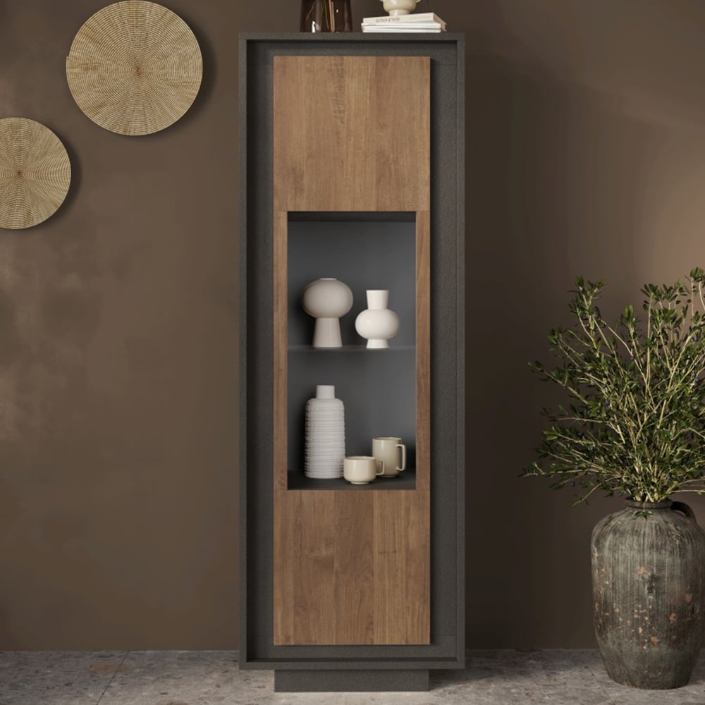 Skokie Wooden Display Cabinet With 1 Door In Lava And Mercure