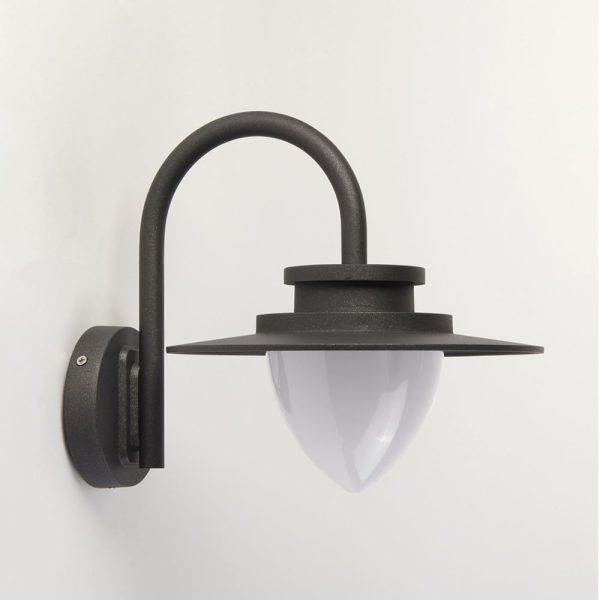 Texas Outdoor Wall Light In Graphite | Bed Sava