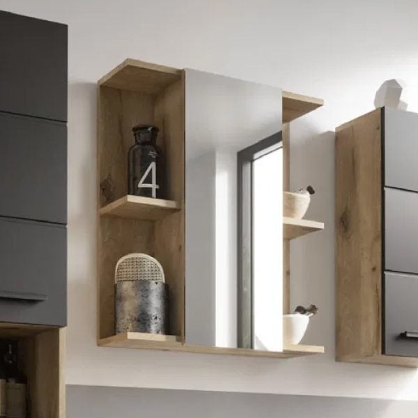 Viroqua Wooden Mirrored Cabinet With 1 Door In Viking Oak | Bed Sava
