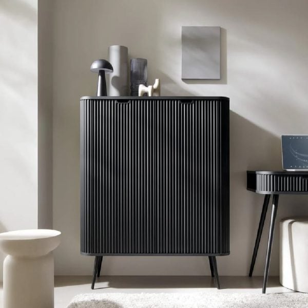 Zebulon Wooden Storage Cabinet With 2 Doors In Black | Bed Sava
