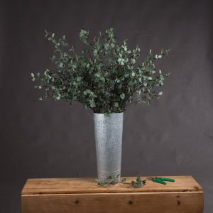 Tall Eucalyptus Stem | Bed Sava