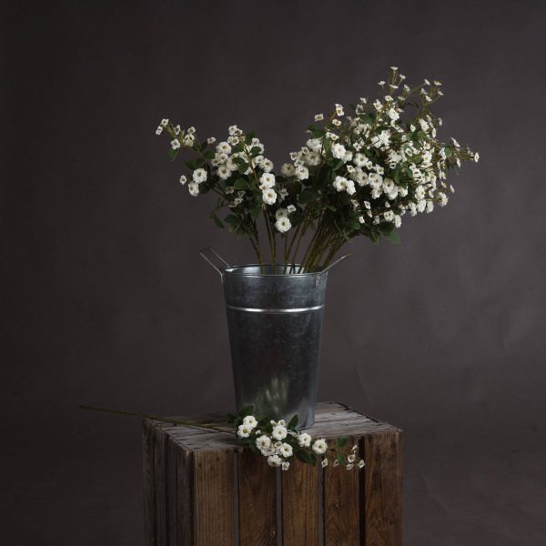 White Wild Meadow Rose | Bed Sava