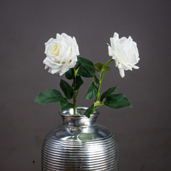 Large White Garden Rose | Bed Sava