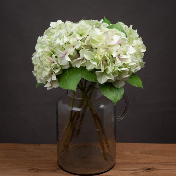 Shabby Green Single Hydrangea | Bed Sava