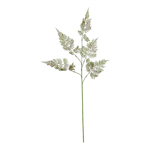 The Natural Garden Collection Large Bracken Fern Spray | Bed Sava