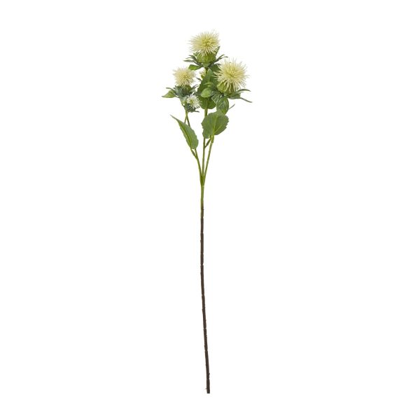 Cream Safflower Spray | Bed Sava