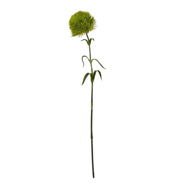 Light Green Dianthus Stem | Bed Sava