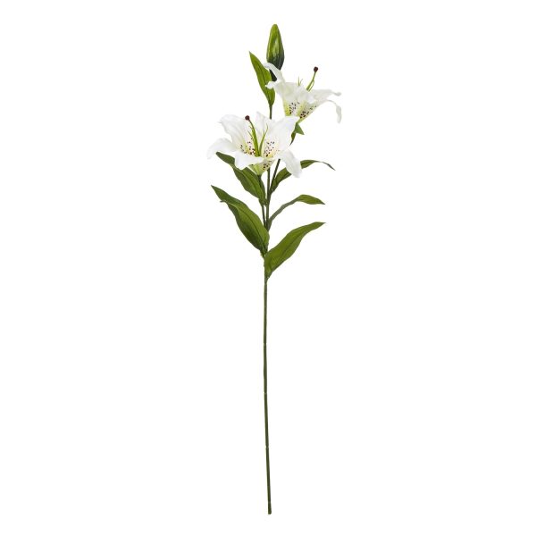 White Madonna Lily Spray | Bed Sava