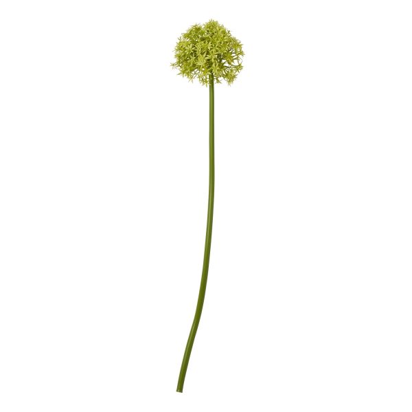 Green Medium Allium Stem | Bed Sava