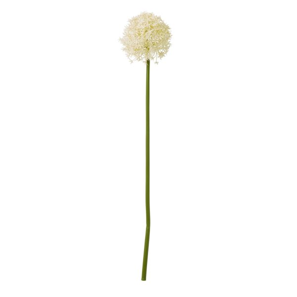 Cream Medium Allium Stem | Bed Sava