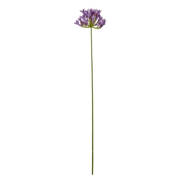 Lilac Agapanthus Spray | Bed Sava