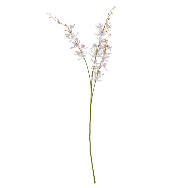 Lilac Cymbidium Spray | Bed Sava