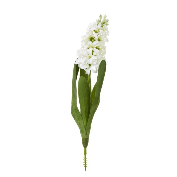 White Hyacinth Stem | Bed Sava