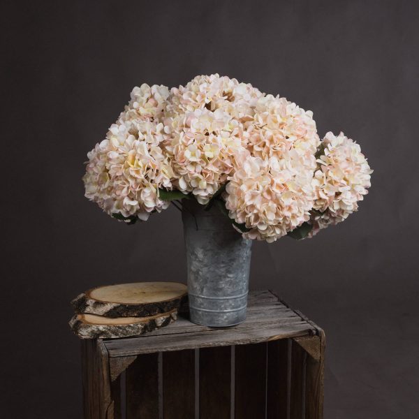 Autumn White Hydrangea | Bed Sava