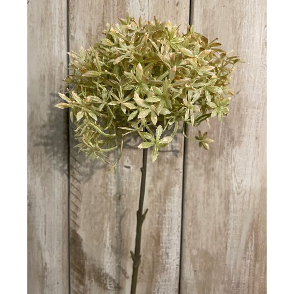 Green And Beige Allium | Bed Sava