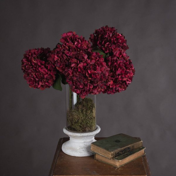 Autumn Ruby Hydrangea | Bed Sava