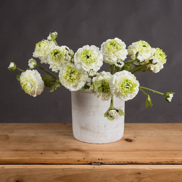 Green Ranunculus Spray | Bed Sava