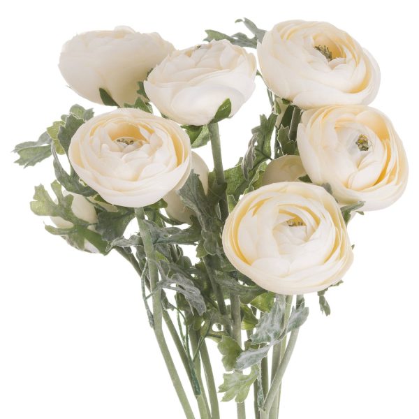 Soft Cream Ranunculus | Bed Sava