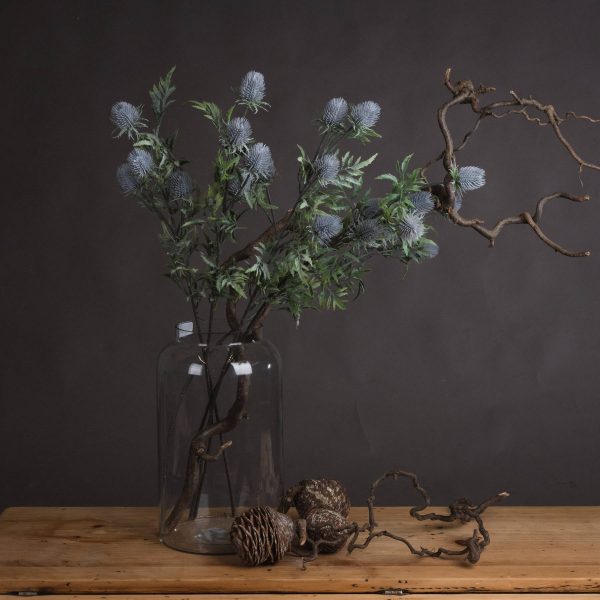 Eryngium Blue Thistle | Bed Sava