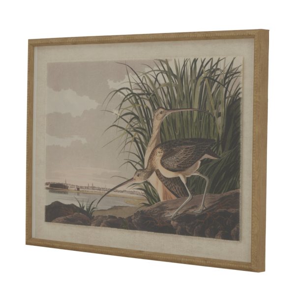 Flora  Fauna Collection Curlews On Linen In Beaded Frame | Bed Sava