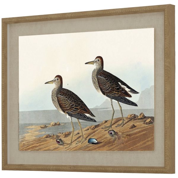 Flora  Fauna Collection Sandpipers On Linen In Beaded Frame | Bed Sava