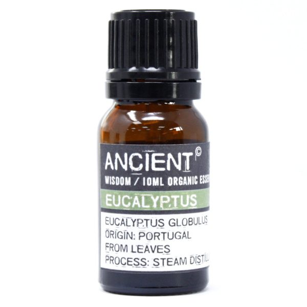 Eucalyptus Organic Essential Oil 10ml | Bed Sava