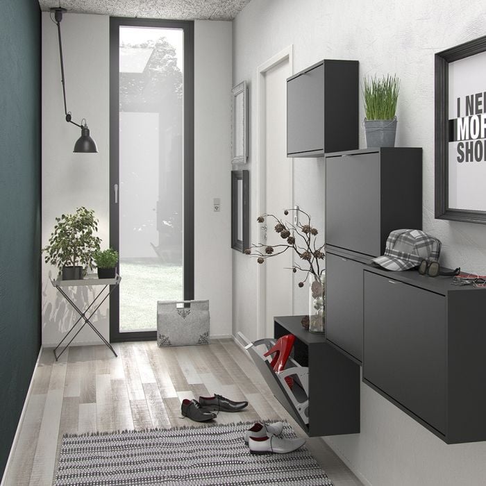 Shoes Shoe Cabinet 2 Flip Down Doors and 1 layer