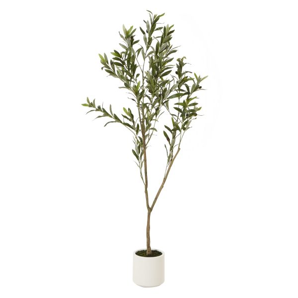 Apulia Olive Tree In White Pot 150Cm | Bed Sava