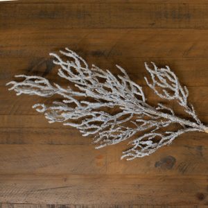 Snow Covered Branch | Bed Sava