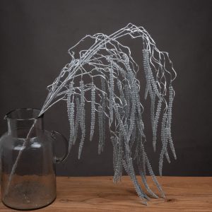Festive Silver Amaranthus | Bed Sava