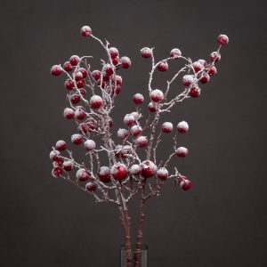 Large Red Festive Berry | Bed Sava