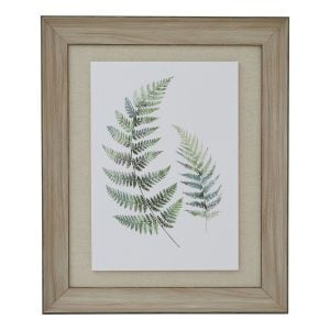 Watercolour Fern Duo In Washed Wood Frame | Bed Sava