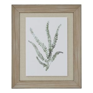 Watercolour Delicate Fern In Washed Wood Frame | Bed Sava
