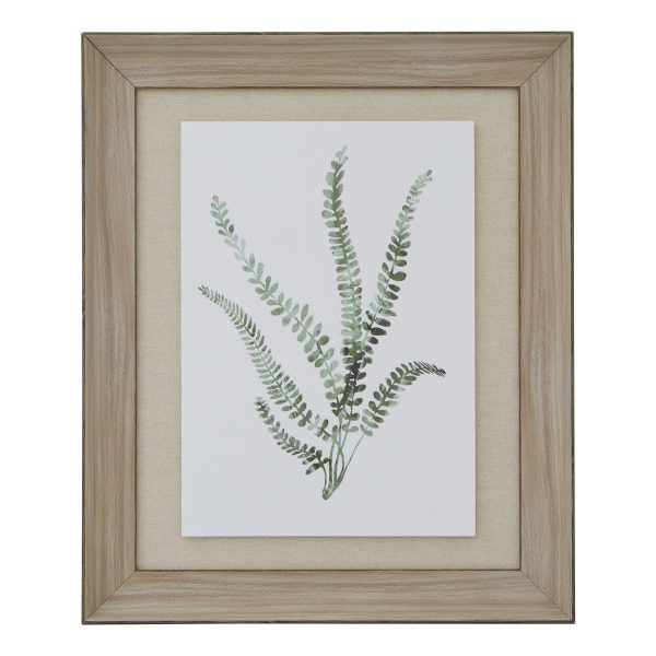 Watercolour Delicate Fern In Washed Wood Frame | Bed Sava