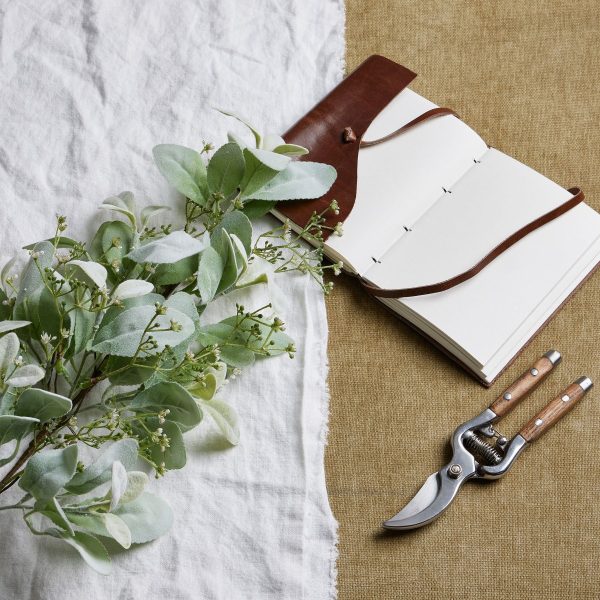 Large Winter Sprig With Lambs Ear And Wax Flower | Bed Sava